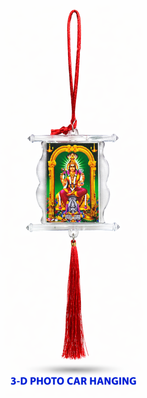 3-D PHOTO CAR HANGING